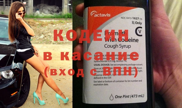 стаф Верея